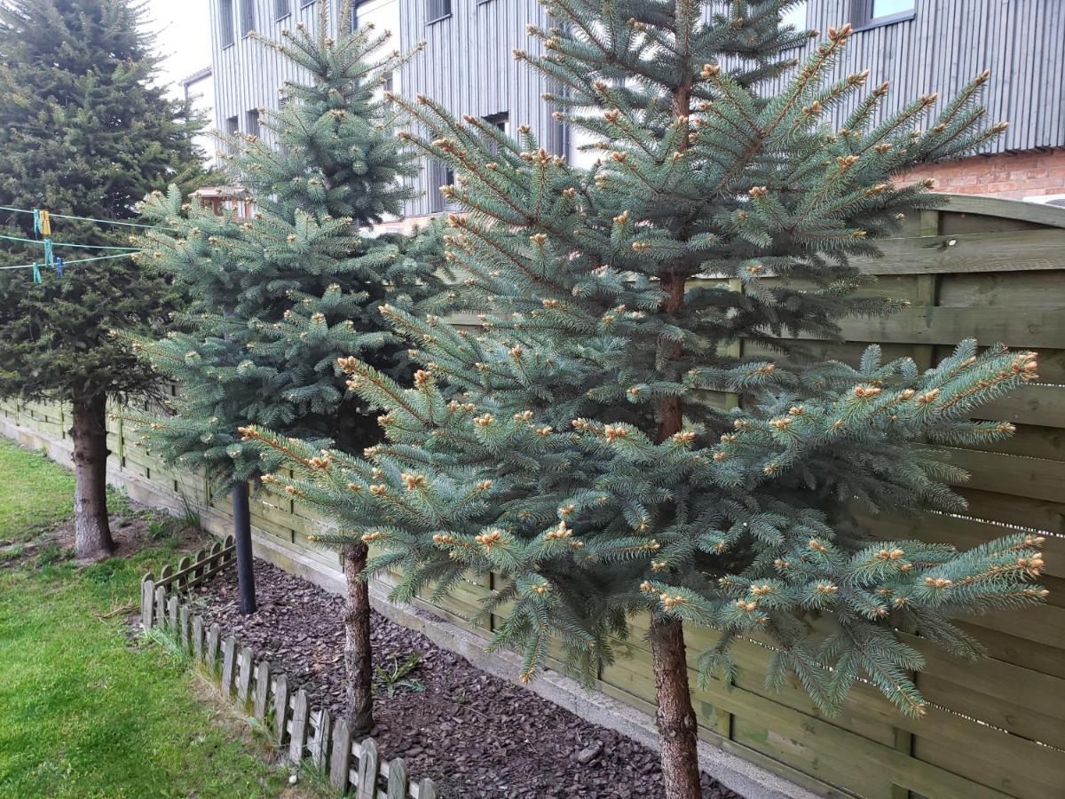 Apartament Aga13 Mikołajki Exterior foto